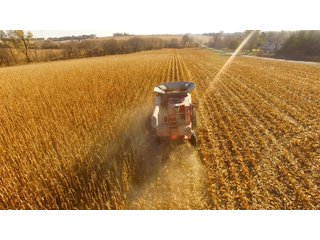 Property photo 4 - LAND AUCTION - 664+/- ACRES OFFERED IN 17 TRACTS IN CASS CO., NEBRASKA